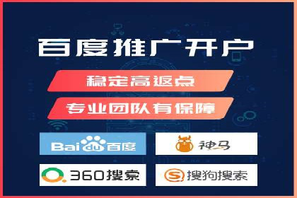SEM搜索引擎优化策略解析与应用案例