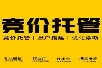 SEM代运营案例：优化搜索排名策略